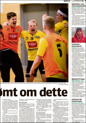 romerikesblad_nedre_seksjon-20140203_000_00_00_007.pdf