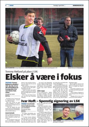 romerikesblad_nedre_seksjon-20140403_000_00_00_004.pdf