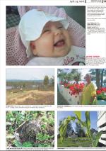 romerikesblad_ovre-20080618_000_00_00_013.pdf