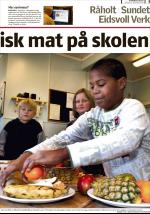 romerikesblad_ovre-20081126_000_00_00_009.pdf