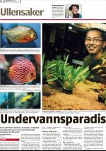romerikesblad_ovre-20090122_000_00_00_006.pdf