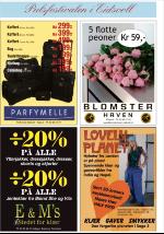 romerikesblad_ovre-20090611_000_00_00_014.pdf