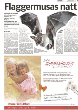 romerikesblad_seksjon-20110711_000_00_00_009.pdf
