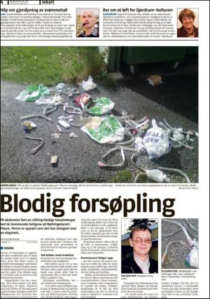 romerikesblad_seksjon-20120608_000_00_00_004.pdf