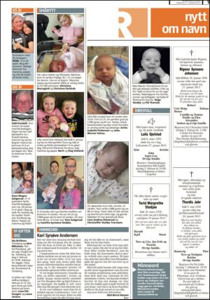 romerikesblad_seksjon-20130131_000_00_00_009.pdf