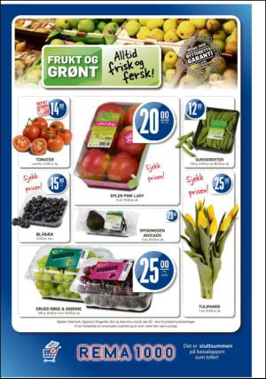 romerikesblad_seksjon-20130308_000_00_00_004.pdf