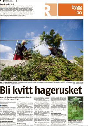 romerikesblad_seksjon-20130423_000_00_00_008.pdf