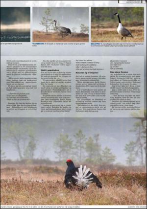 romerikesblad_seksjon-20130529_000_00_00_009.pdf