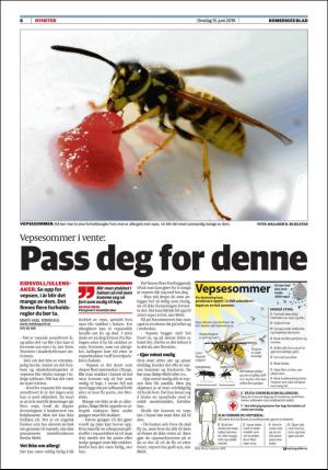 romerikesblad_ullensaker-20160615_000_00_00_006.pdf