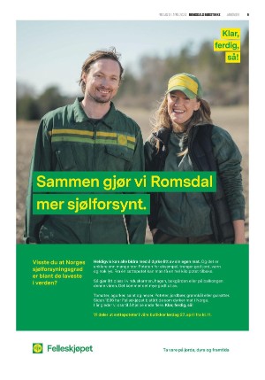 romsdalsbudstikke-20240419_000_00_00_009.pdf