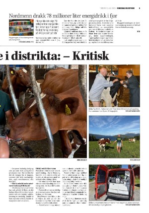 romsdalsbudstikke-20250710_000_00_00_005.pdf