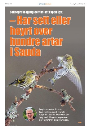 ryfylke_bilag-20240620_000_00_00_023.pdf