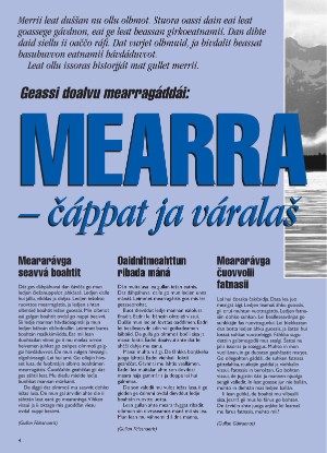 s_nuoraidmagasiidna-19960614_008_00_00_004.pdf