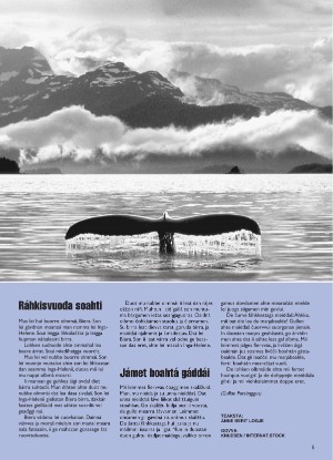 s_nuoraidmagasiidna-19960614_008_00_00_005.pdf