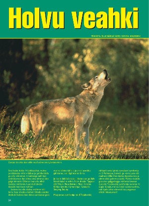 s_nuoraidmagasiidna-19960614_008_00_00_028.pdf