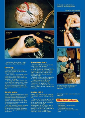 s_nuoraidmagasiidna-19971001_010_00_00_013.pdf