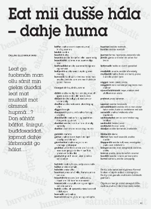 s_nuoraidmagasiidna-19971111_011_00_00_041.pdf