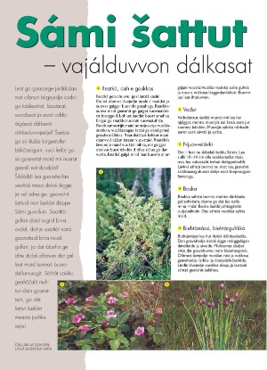 s_nuoraidmagasiidna-20001016_015_00_00_024.pdf