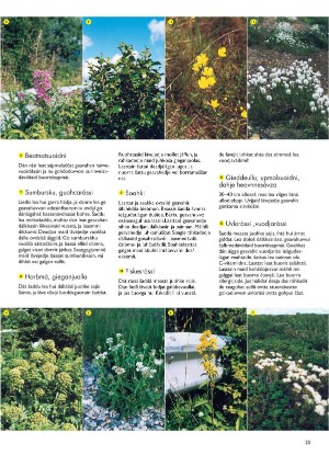 s_nuoraidmagasiidna-20001016_015_00_00_025.pdf