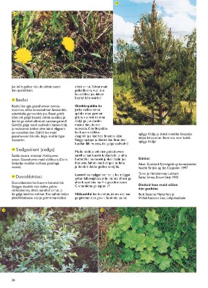s_nuoraidmagasiidna-20001016_015_00_00_026.pdf