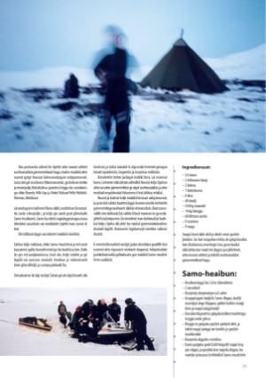 s_nuoraidmagasiidna-20020617_019_00_00_031.pdf