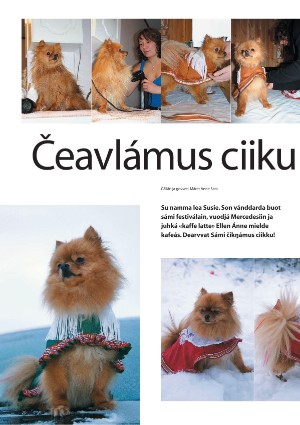s_nuoraidmagasiidna-20051215_033_00_00_020.pdf