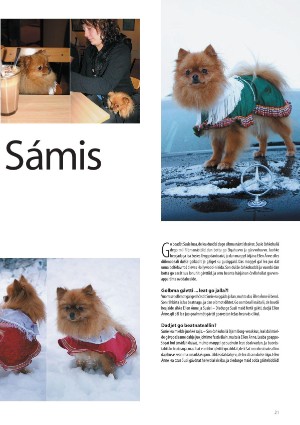s_nuoraidmagasiidna-20051215_033_00_00_021.pdf