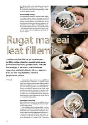 s_nuoraidmagasiidna-20061208_038_00_00_024.pdf