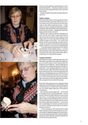 s_nuoraidmagasiidna-20061208_038_00_00_025.pdf