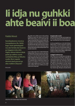 s_nuoraidmagasiidna-20080228_044_00_00_014.pdf