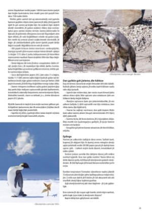 s_nuoraidmagasiidna-20080228_044_00_00_023.pdf