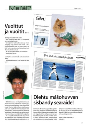 s_nuoraidmagasiidna-20080410_045_00_00_031.pdf