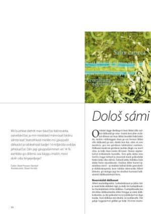 s_nuoraidmagasiidna-20090609_051_00_00_012.pdf
