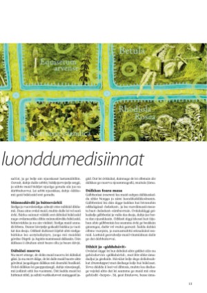 s_nuoraidmagasiidna-20090609_051_00_00_013.pdf