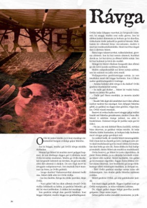 s_nuoraidmagasiidna-20100420_055_00_00_036.pdf