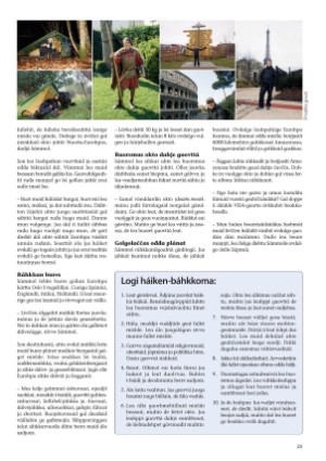 s_nuoraidmagasiidna-20100507_056_00_00_025.pdf