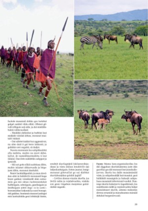 s_nuoraidmagasiidna-20101007_057_00_00_025.pdf