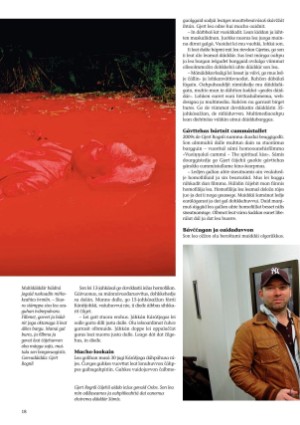 s_nuoraidmagasiidna-20101202_058_00_00_018.pdf