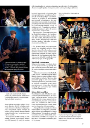 s_nuoraidmagasiidna-20121027_067_00_00_029.pdf