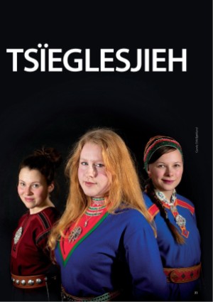 s_nuoraidmagasiidna-20130304_069_00_00_021.pdf