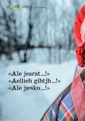s_nuoraidmagasiidna-20140221_074_00_00_014.pdf