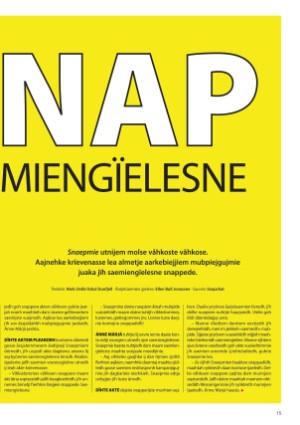 s_nuoraidmagasiidna-20180319_096_00_00_015.pdf