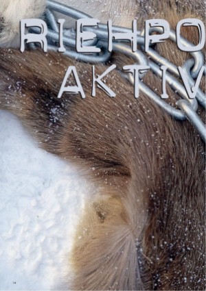 s_nuoraidmagasiidna-20260220_133_00_00_014.pdf