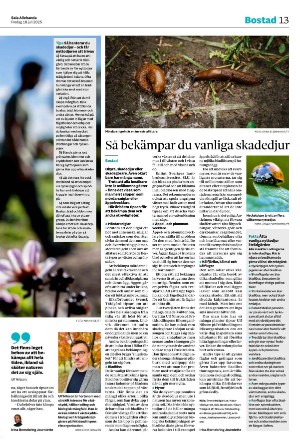 salaallehanda-20250718_000_00_00_013.pdf