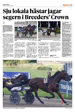 salaallehanda-20251114_000_00_00_023.pdf