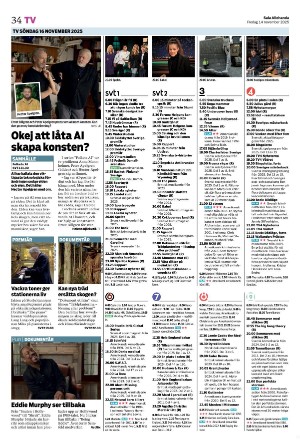 salaallehanda-20251114_000_00_00_034.pdf