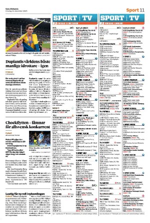 salaallehanda-20251231_000_00_00_011.pdf