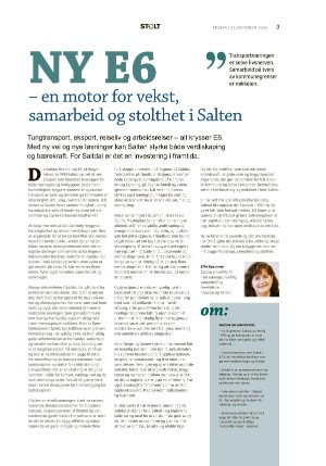 saltenposten_stolt-20251031_000_00_00_003.pdf