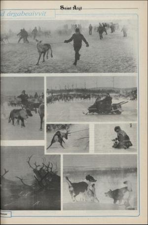 samiaigi-19880209_000_00_00_005.pdf