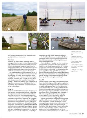 seilmagasinet-20200508_003_00_00_027.pdf